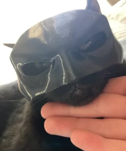Bat Mask - Super Hero - Cat Mask - Small Dog Mask